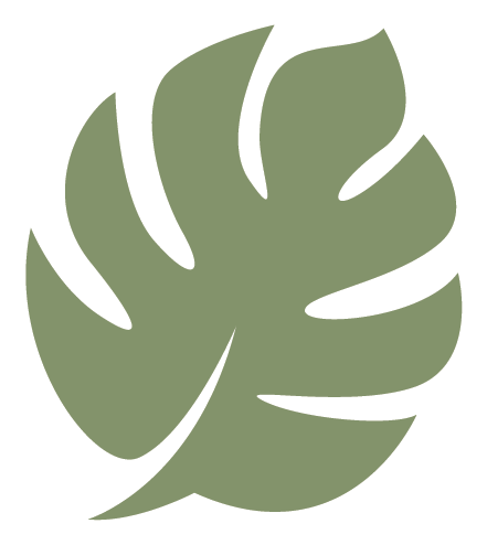 Monstera Leaf